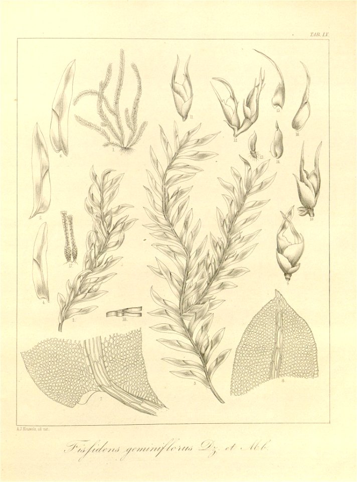 n34_w1150