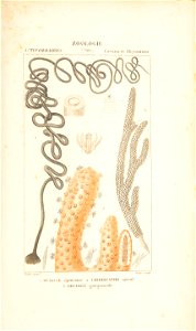 n222_w1150