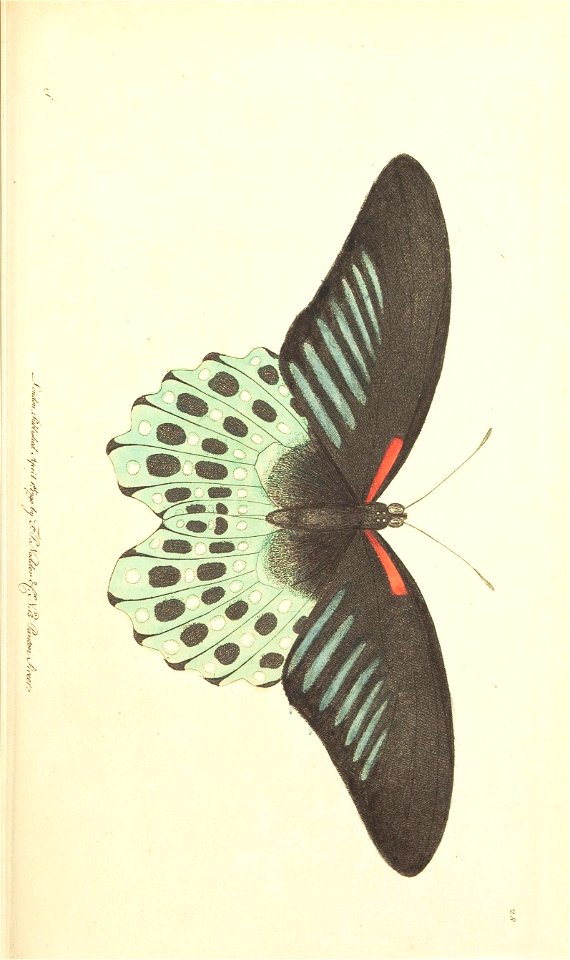 n179_w1150