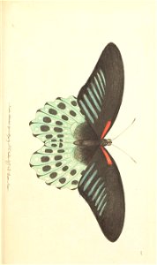 n179_w1150