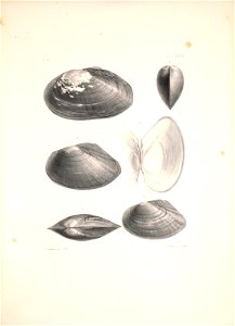n490_w1150