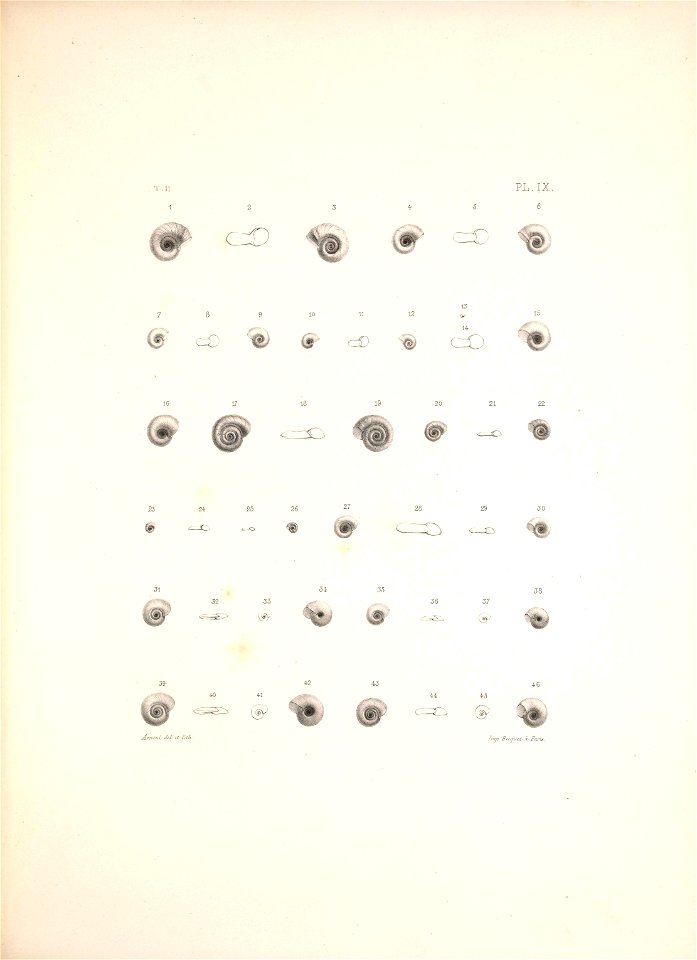 n430_w1150