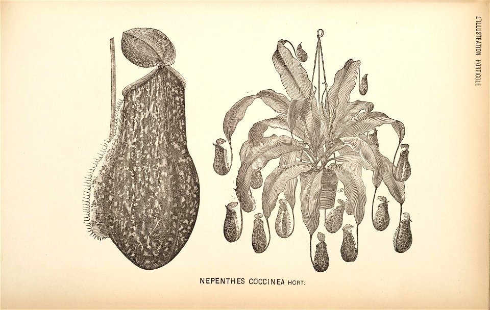n110_w1150