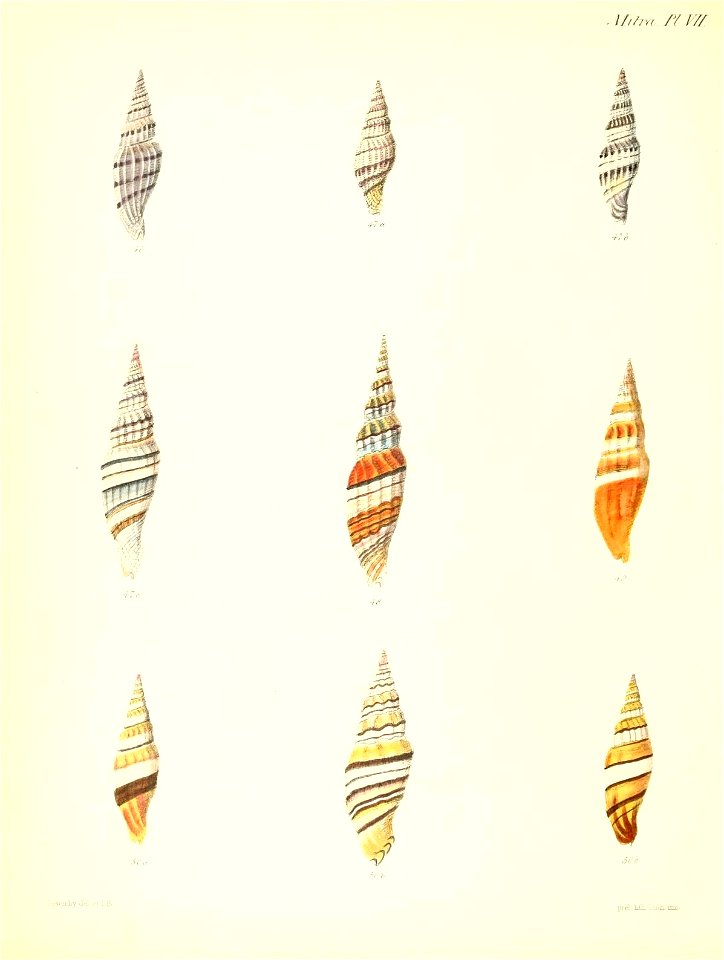 n267_w1150