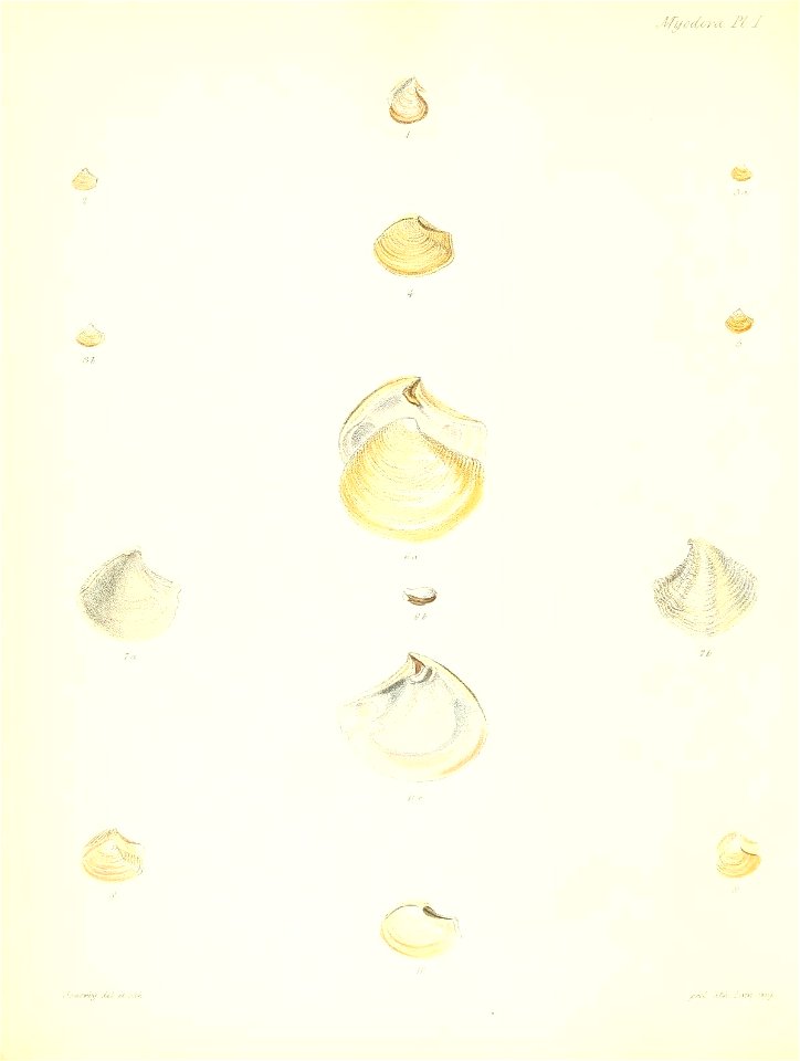 n199_w1150
