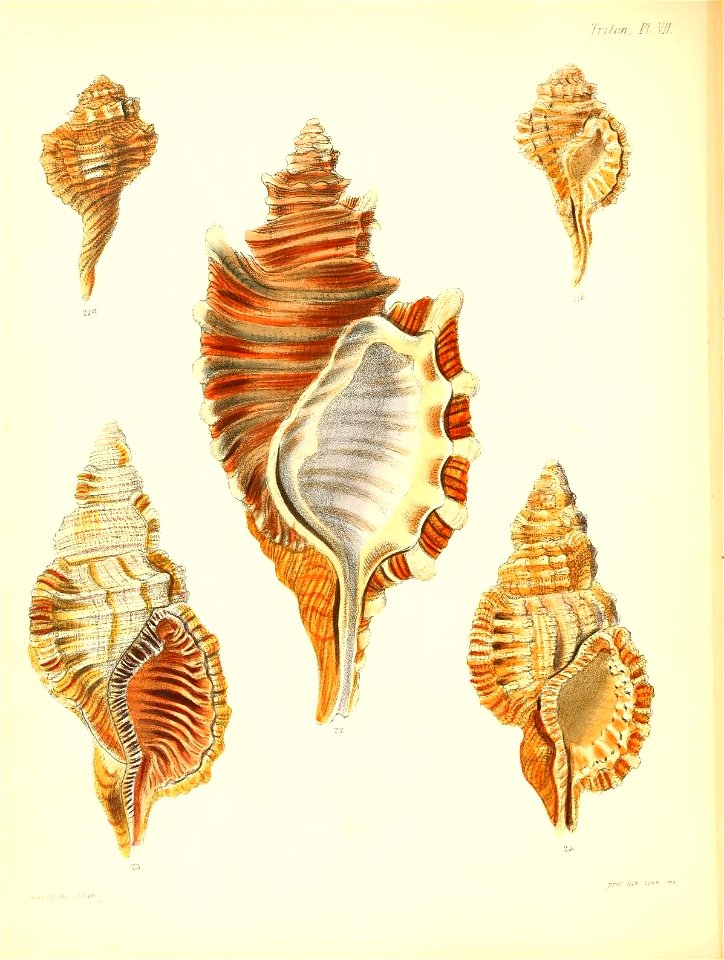 n133_w1150