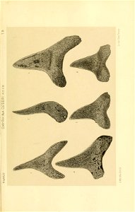 n218_w1150