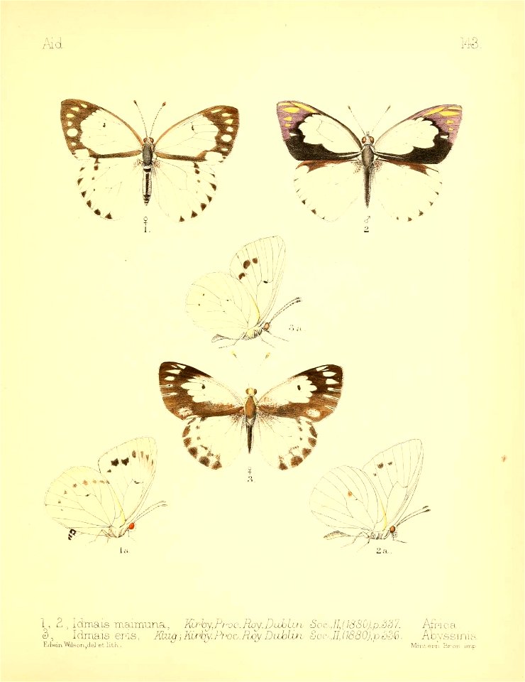 n120_w1150