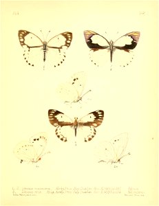 n120_w1150