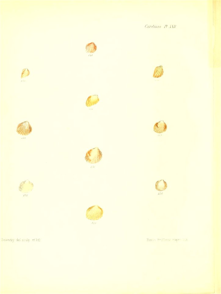 n489_w1150