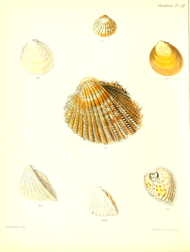 n429_w1150