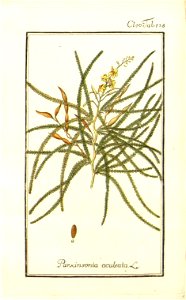 n58_w1150