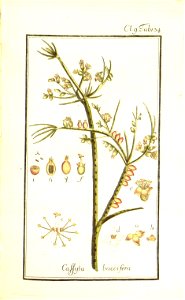 n57_w1150