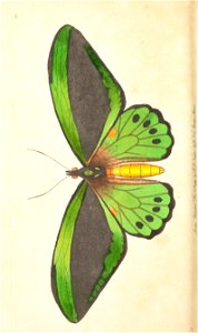 n97_w1150