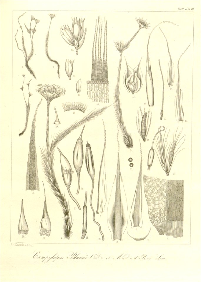 n176_w1150