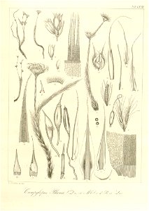 n176_w1150