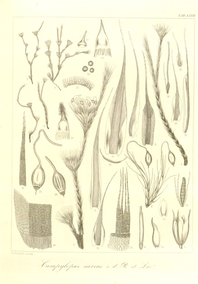 n175_w1150