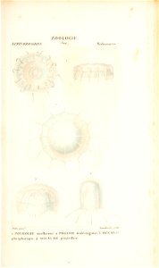 n188_w1150