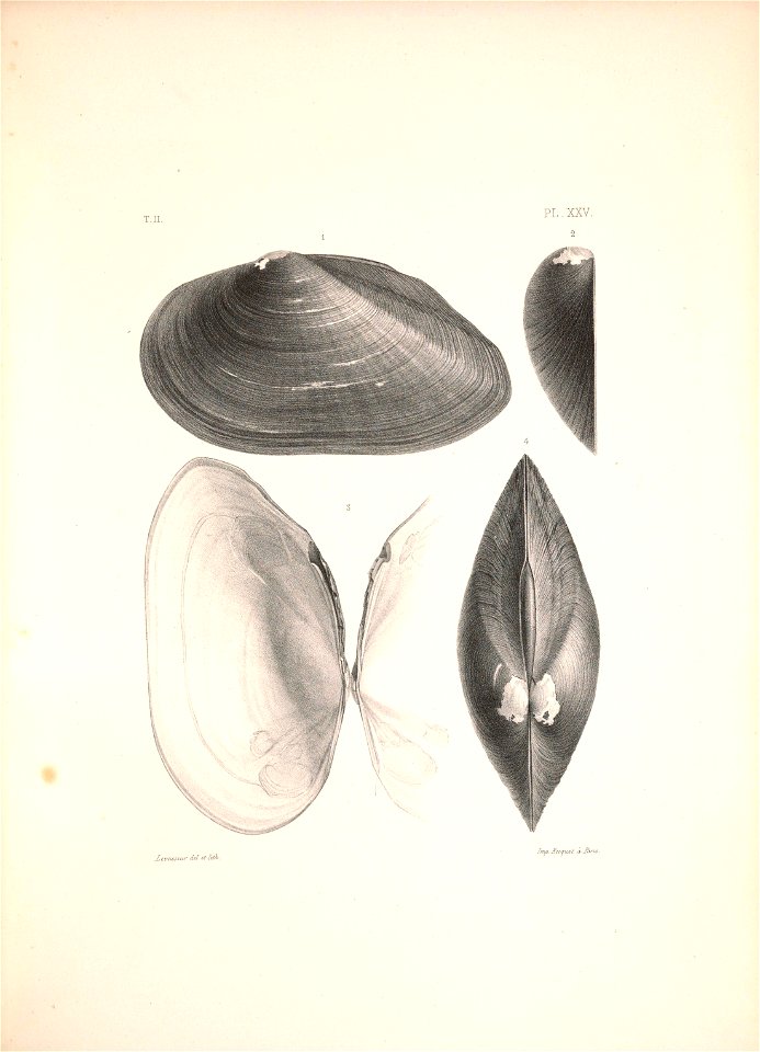 n494_w1150