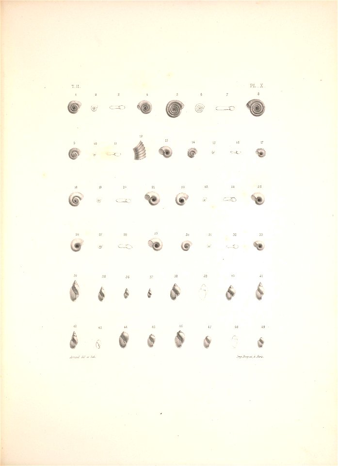 n434_w1150