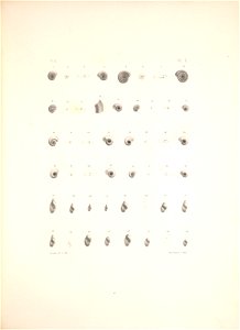 n434_w1150
