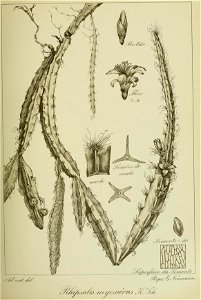 n192_w1150