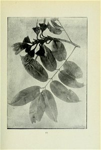 n86_w1150