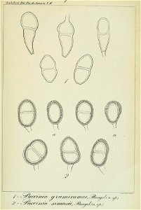 n378_w1150