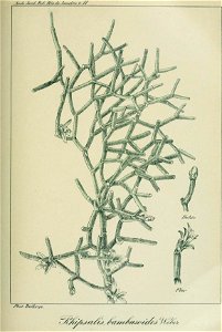 n322_w1150