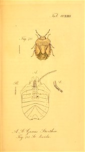 n172_w1150