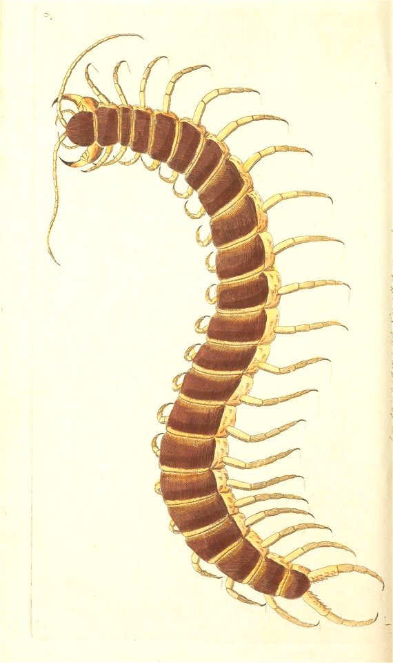 n59_w1150