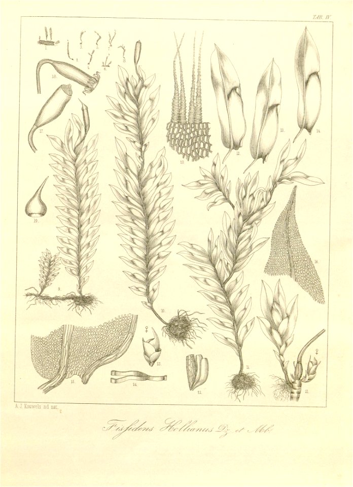 n19_w1150
