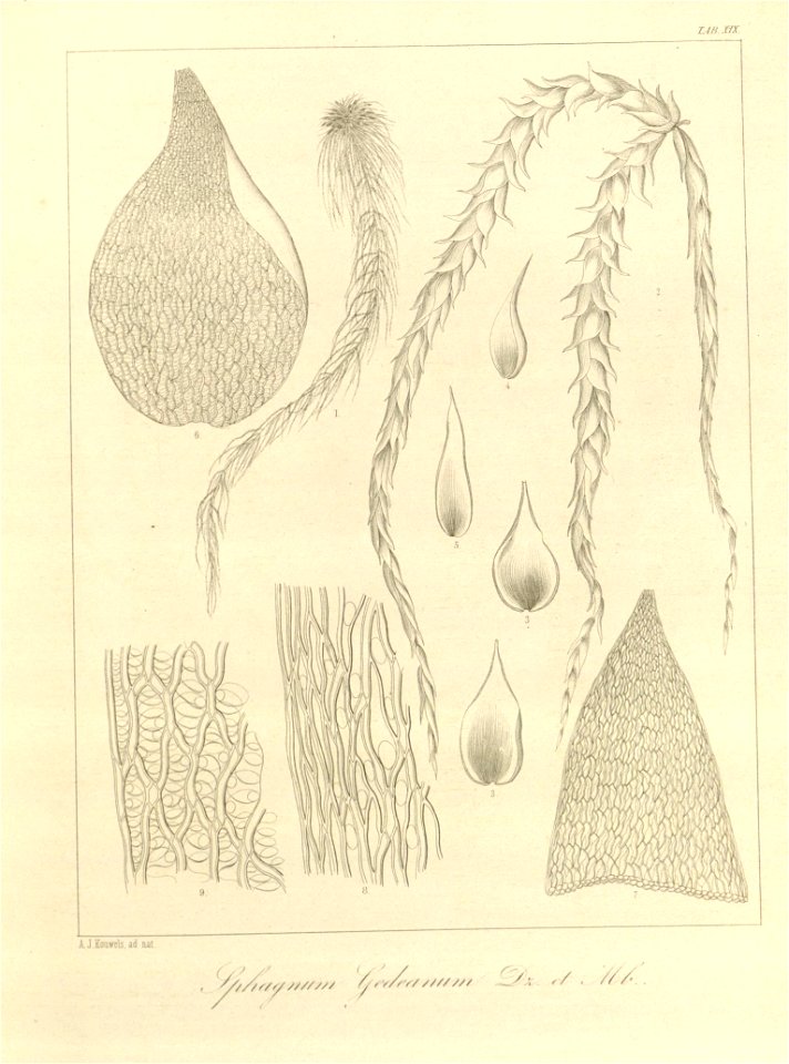 n62_w1150