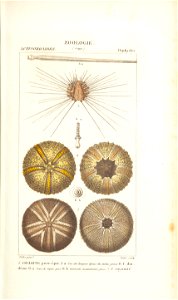 n182_w1150