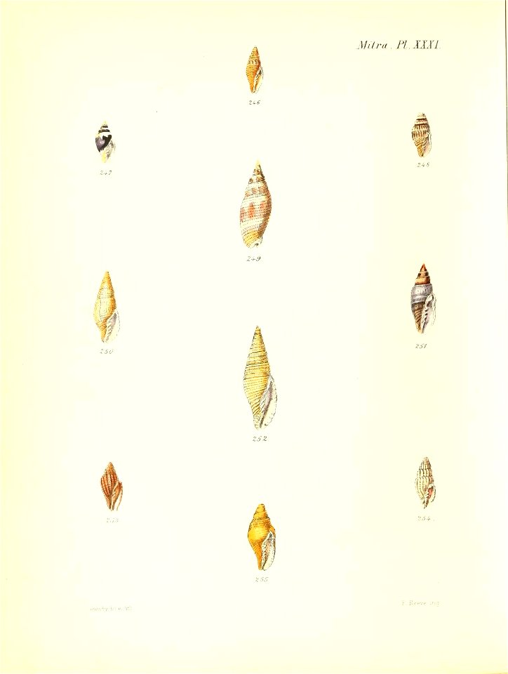n363_w1150