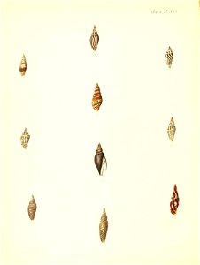n303_w1150
