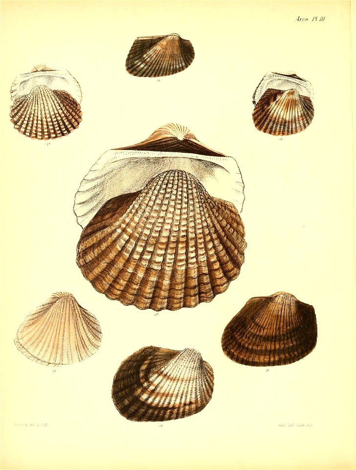 n45_w1150