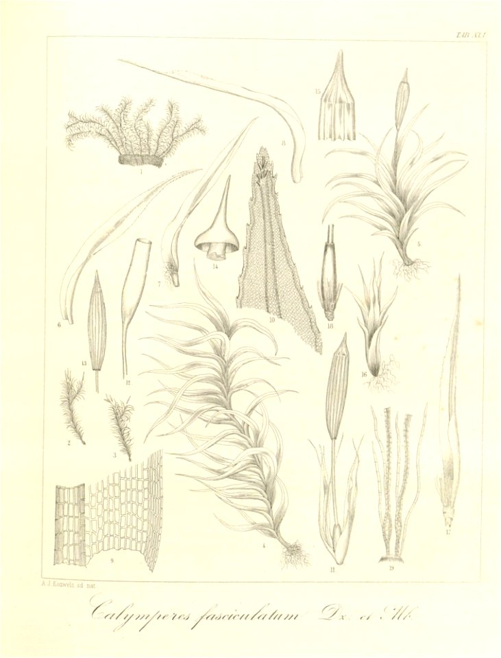 n117_w1150