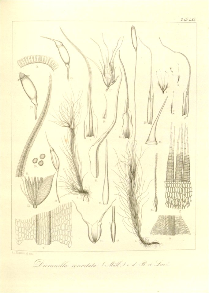 n178_w1150