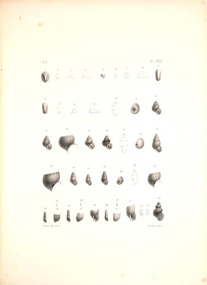 n446_w1150