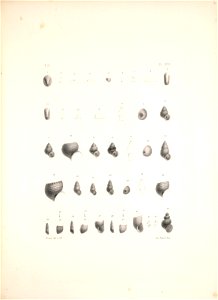 n446_w1150