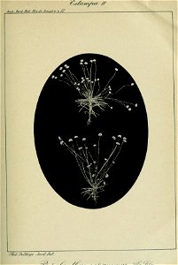n262_w1150