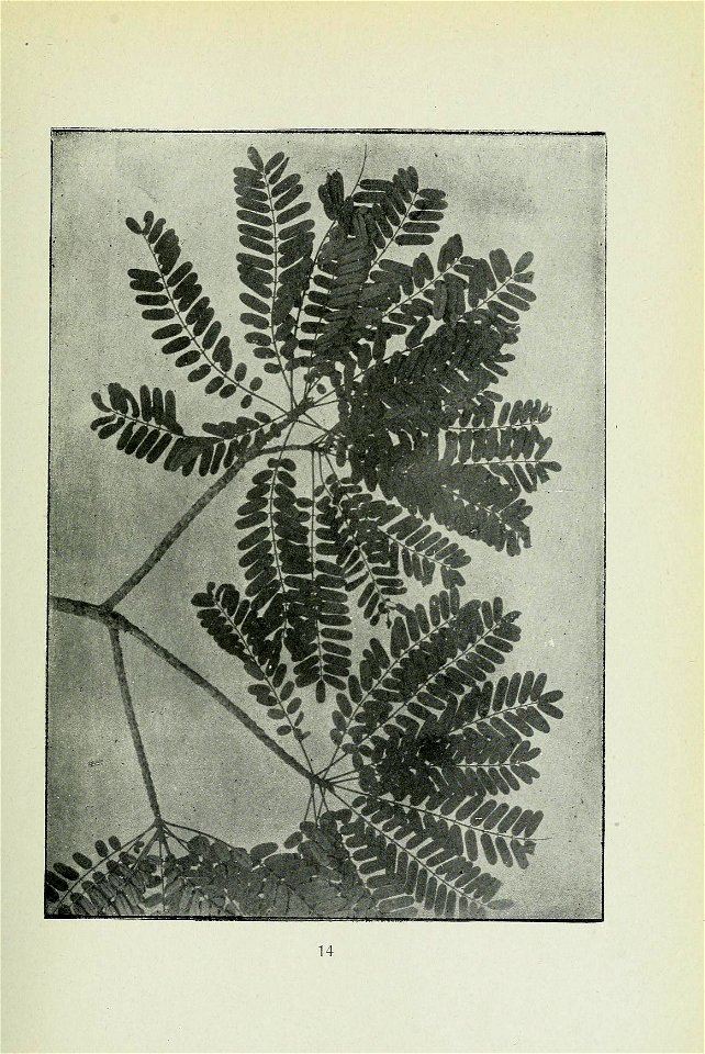 n92_w1150