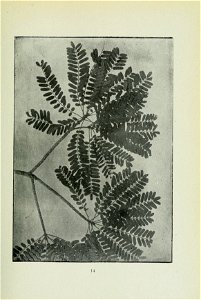 n92_w1150