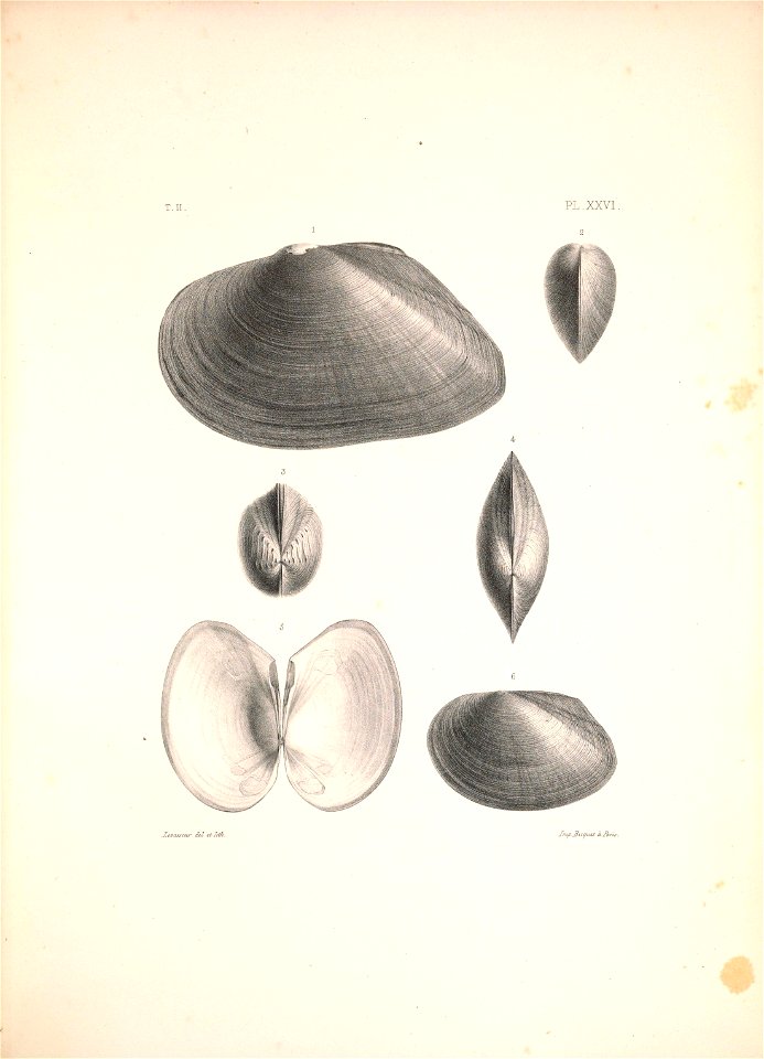 n498_w1150