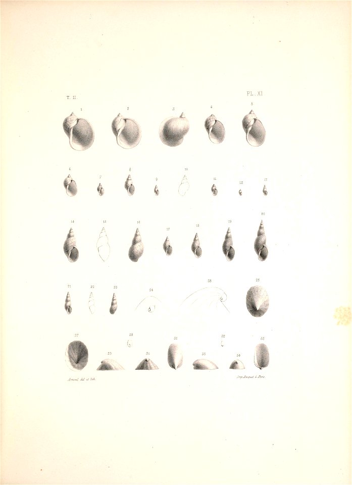 n438_w1150