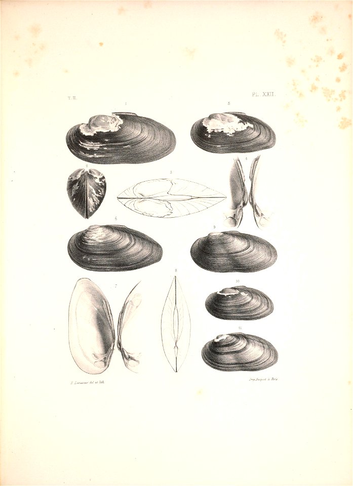 n482_w1150