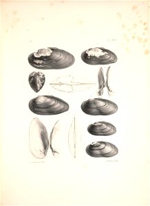 n482_w1150
