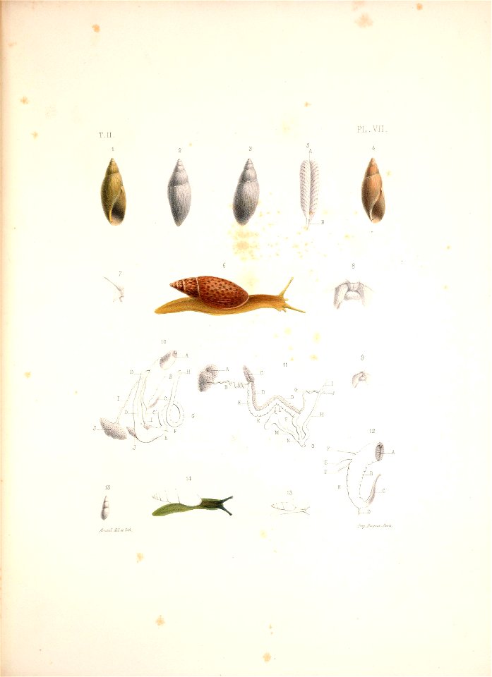 n422_w1150