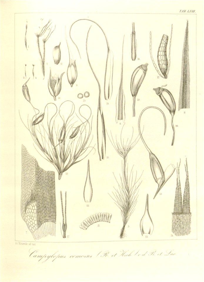 n171_w1150
